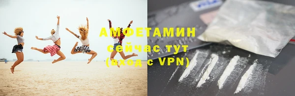 шишки Верхний Тагил